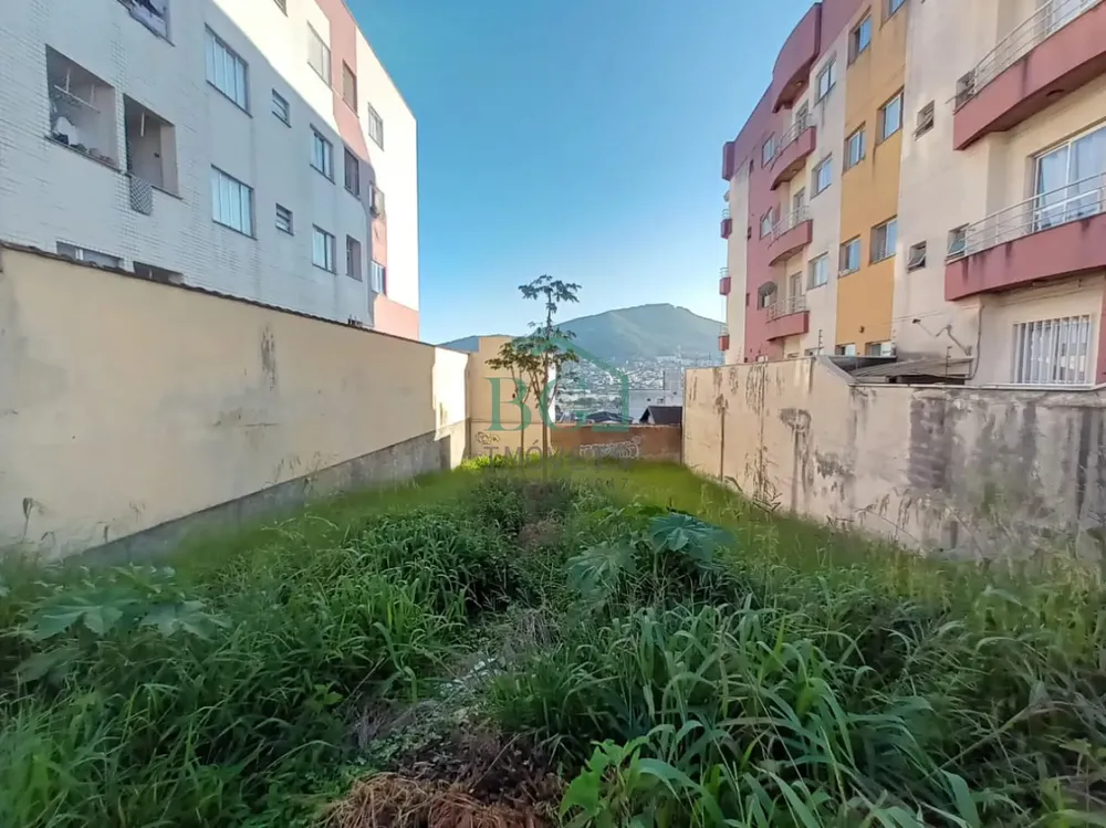 Terreno, 366 m² - Foto 3