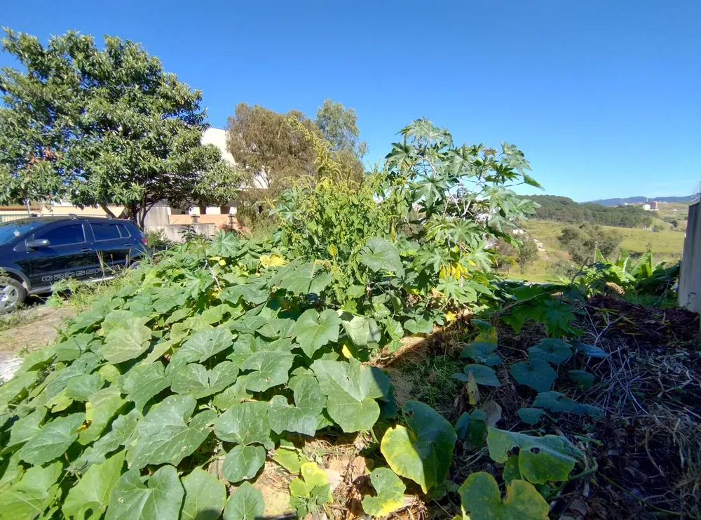 Terreno, 360 m² - Foto 4