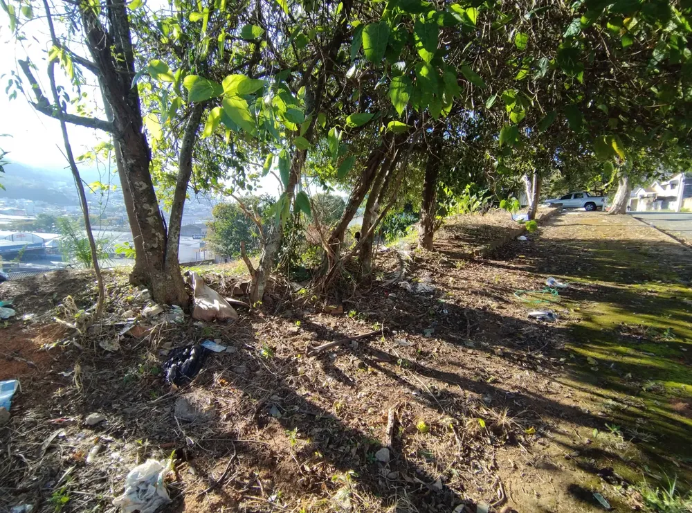 Terreno, 760 m² - Foto 3