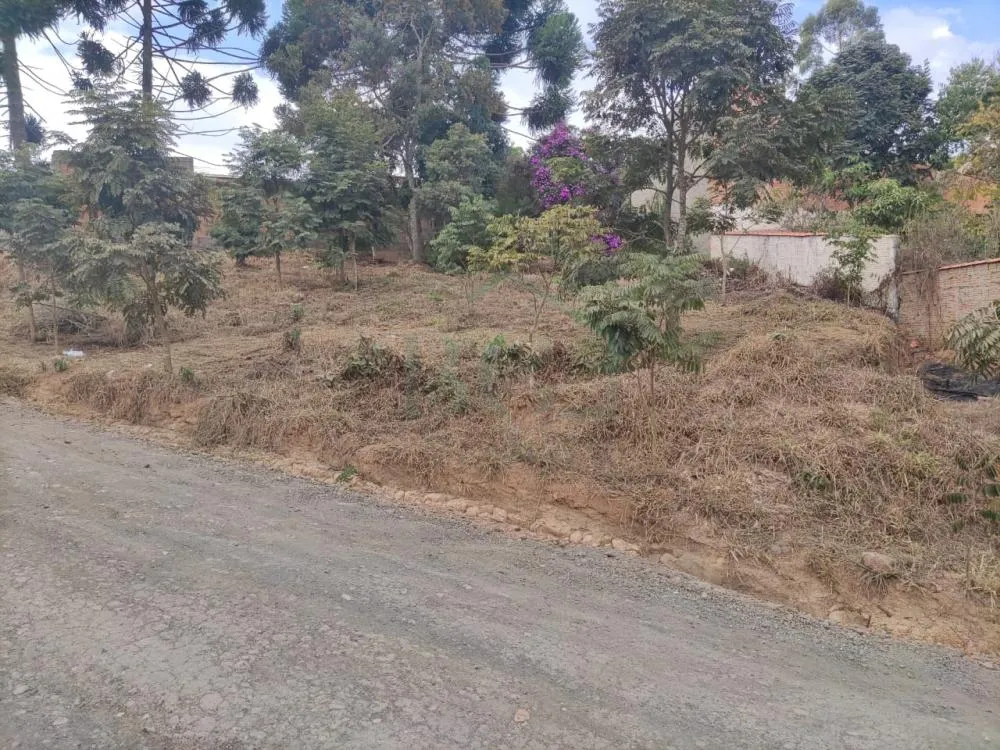 Terreno, 542 m² - Foto 1