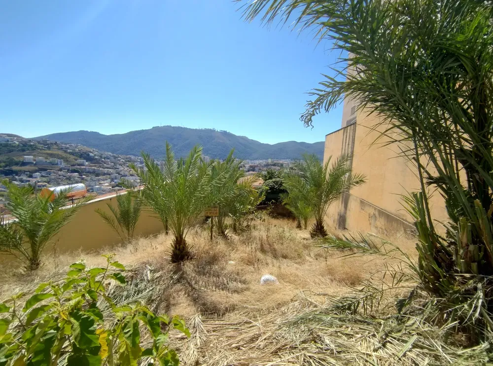 Terreno, 480 m² - Foto 2