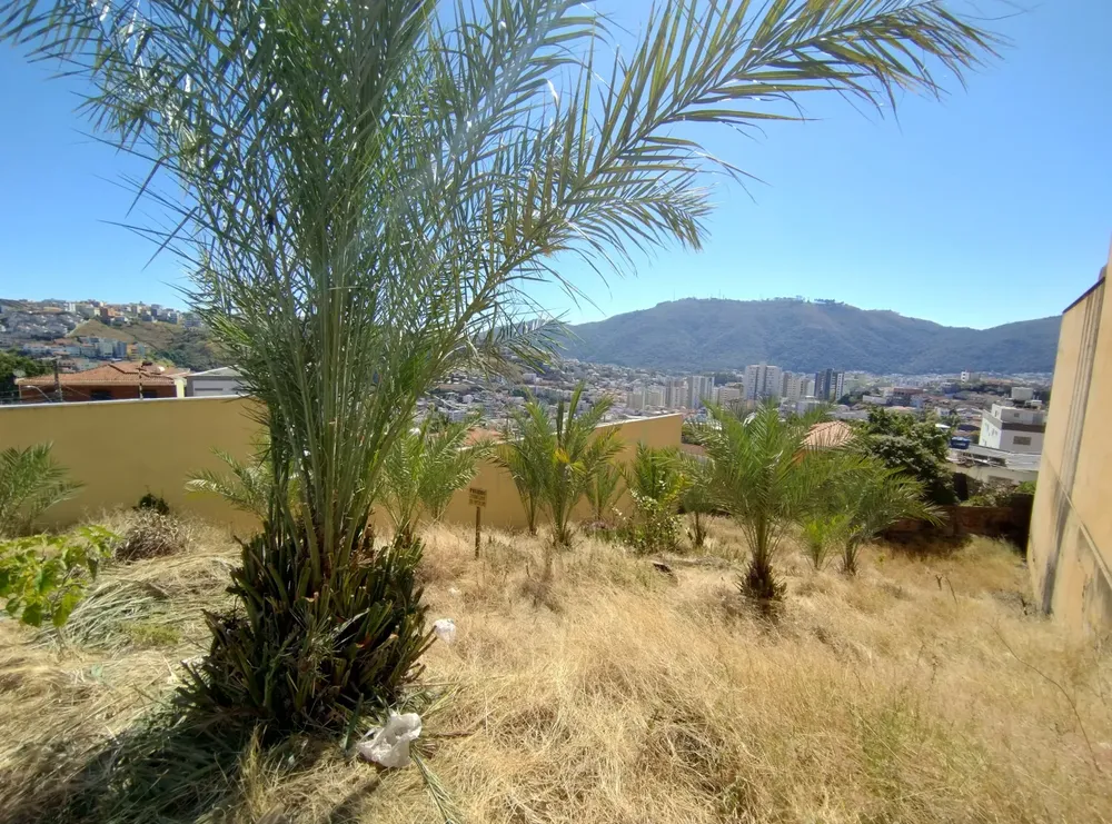 Terreno, 480 m² - Foto 3