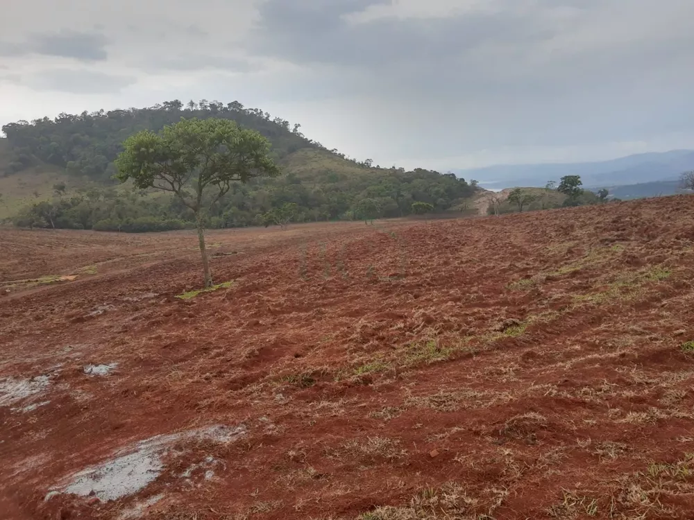 Fazenda à venda, 4200000m² - Foto 4