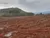 Fazenda, 420 hectares - Foto 4