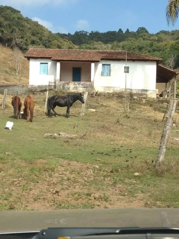 Sítio, 11 hectares - Foto 1