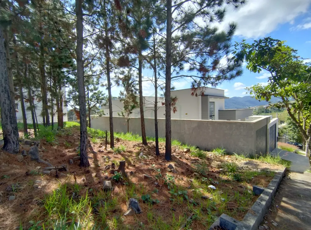 Terreno, 312 m² - Foto 3