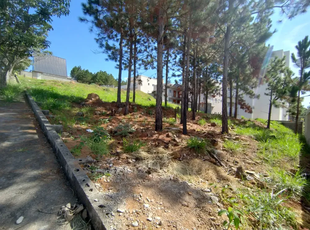 Terreno, 312 m² - Foto 2