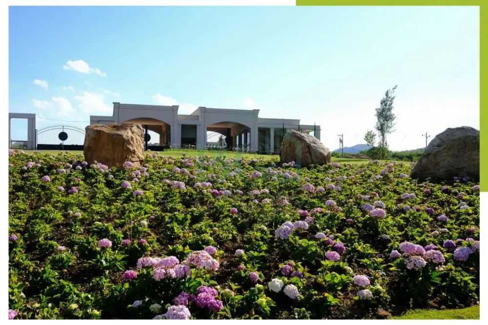 Terreno, 778 m² - Foto 1