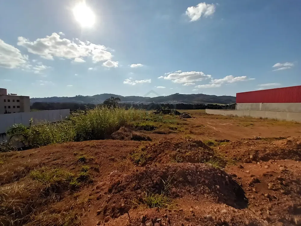 Terreno, 4815 m² - Foto 4