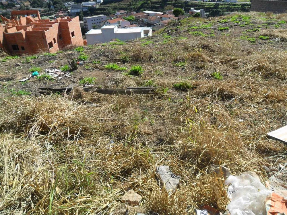 Terreno, 591 m² - Foto 3