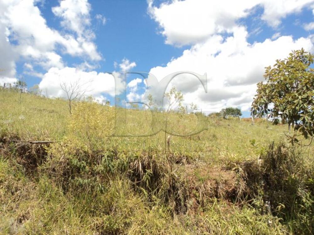 Terreno à venda, 1500m² - Foto 1