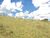 Terreno, 1500 m² - Foto 2