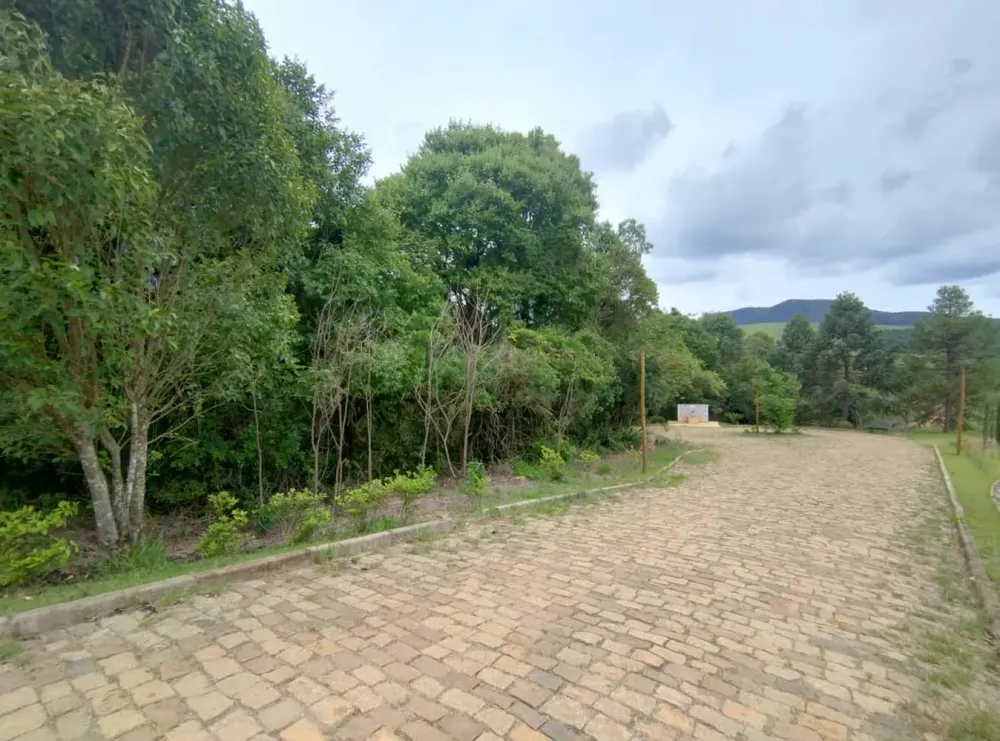 Terreno, 4200 m² - Foto 6