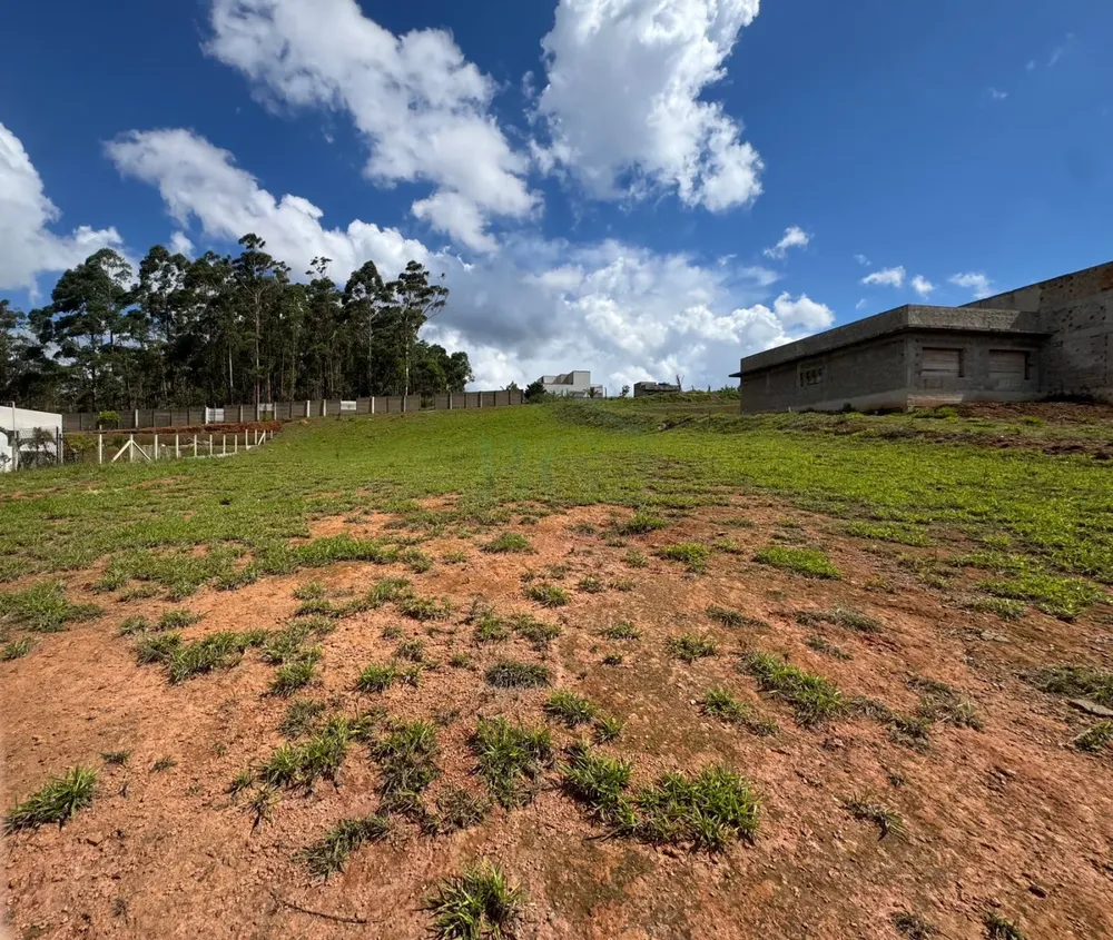 Terreno, 4200 m² - Foto 3