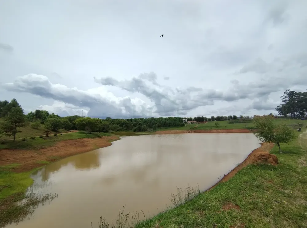 Terreno, 4200 m² - Foto 5