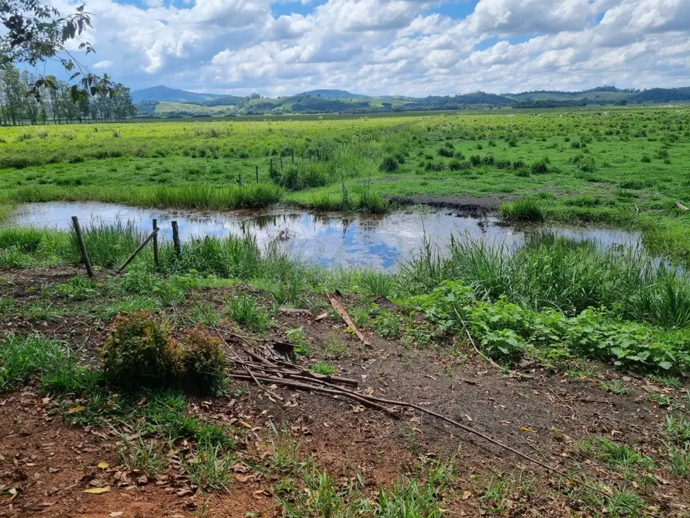 Fazenda, 172 hectares - Foto 8