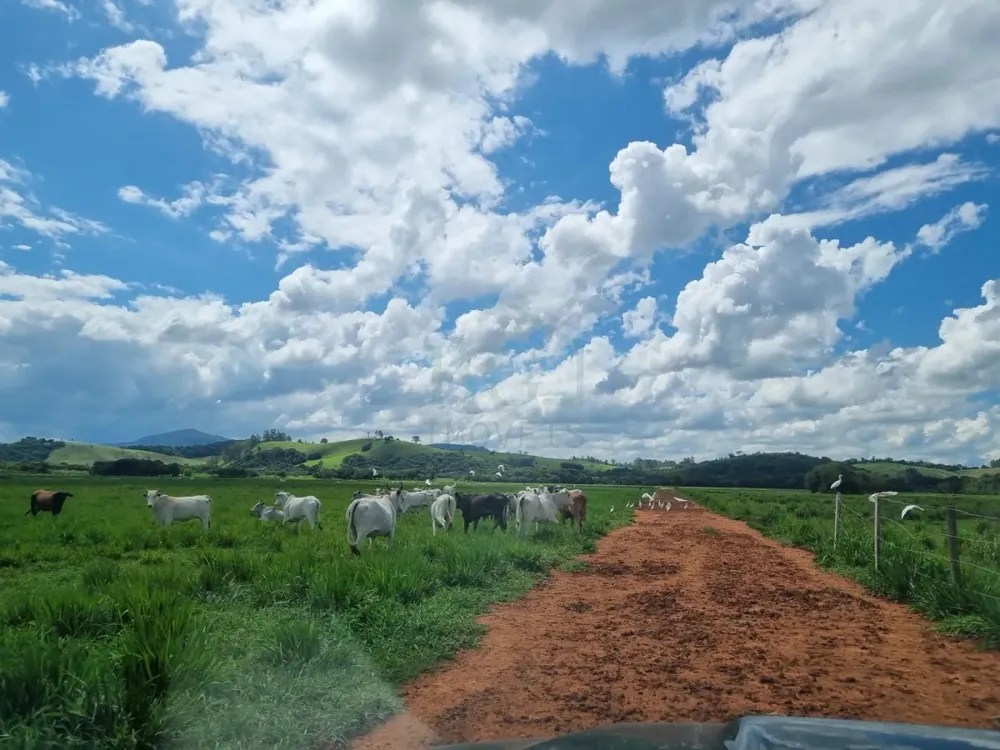 Fazenda, 172 hectares - Foto 4