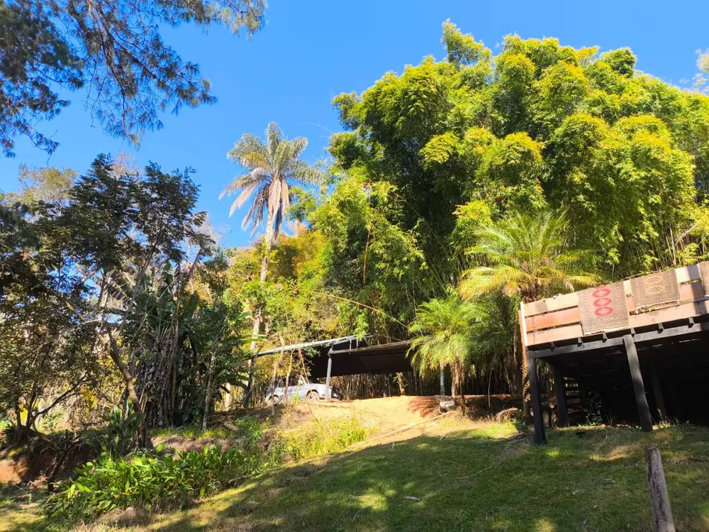 Sítio, 2 hectares - Foto 4