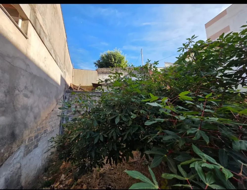 Terreno, 305 m² - Foto 3