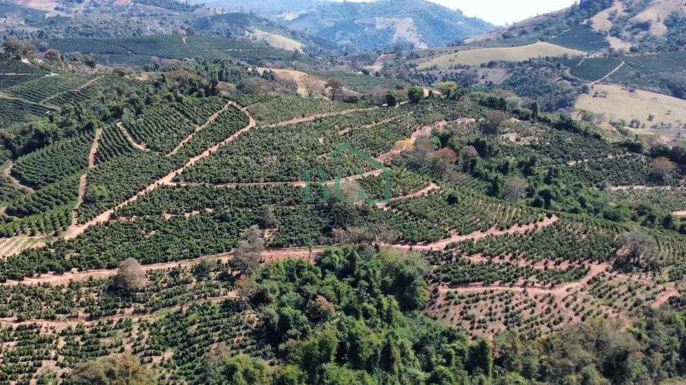 Fazenda, 37 hectares - Foto 6