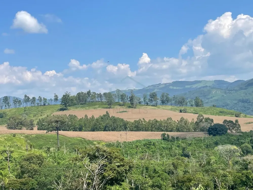 Fazenda, 174 hectares - Foto 4