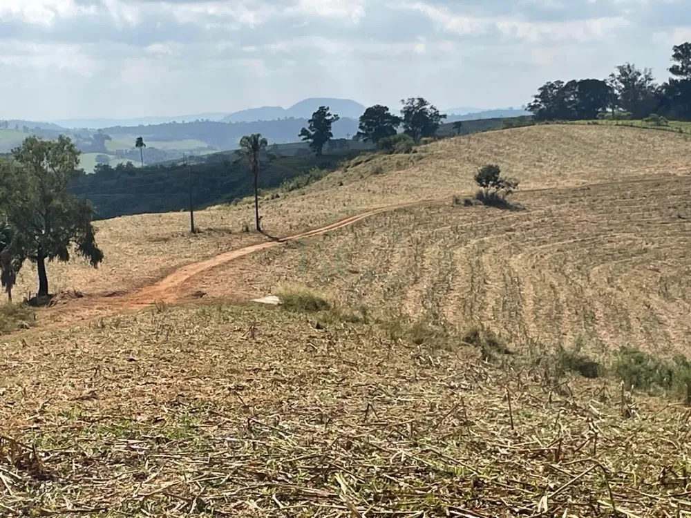 Fazenda, 174 hectares - Foto 3