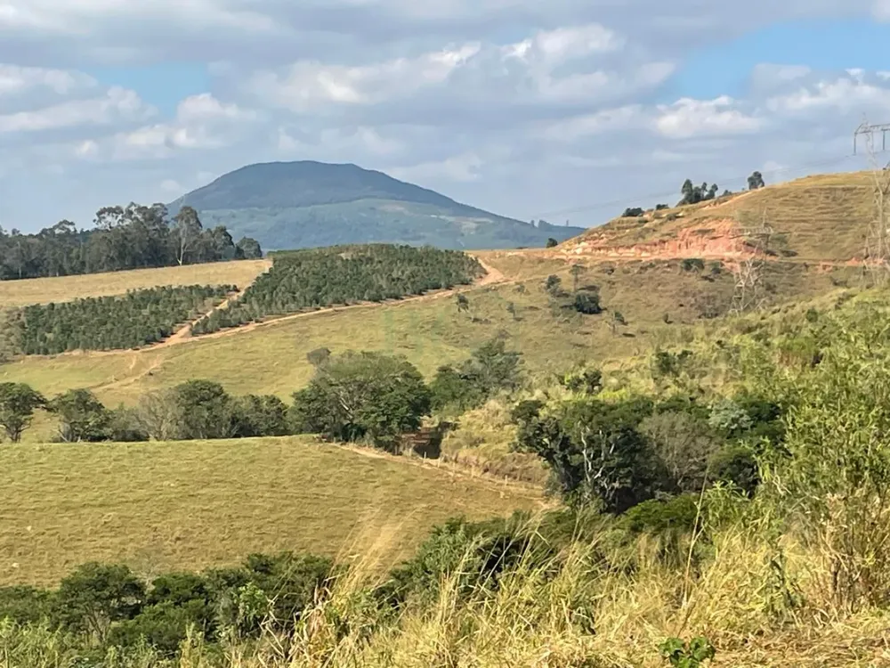 Fazenda, 174 hectares - Foto 6