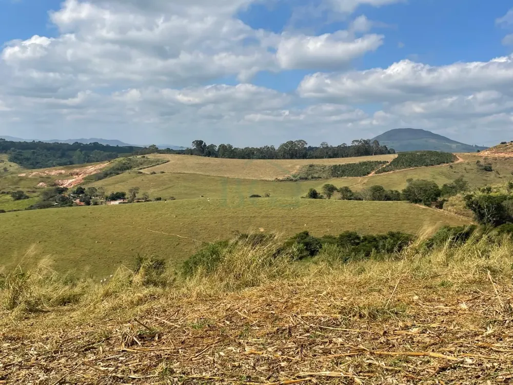 Fazenda, 174 hectares - Foto 7