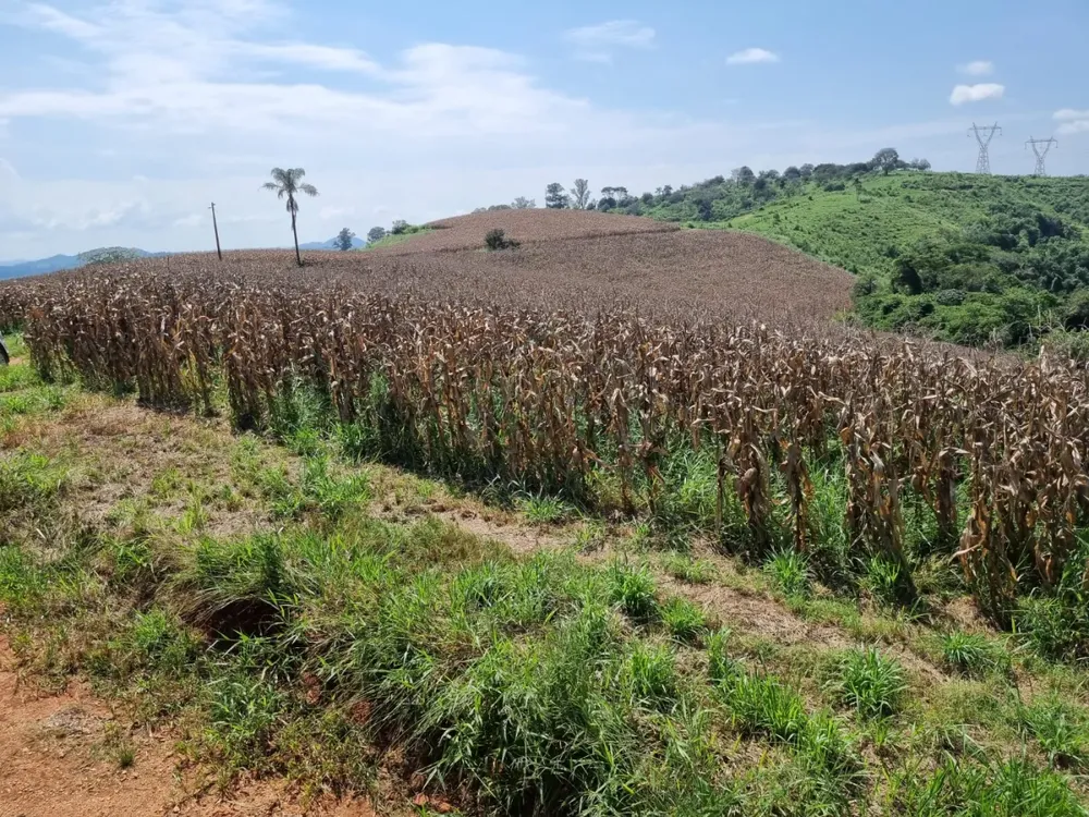 Fazenda, 174 hectares - Foto 2