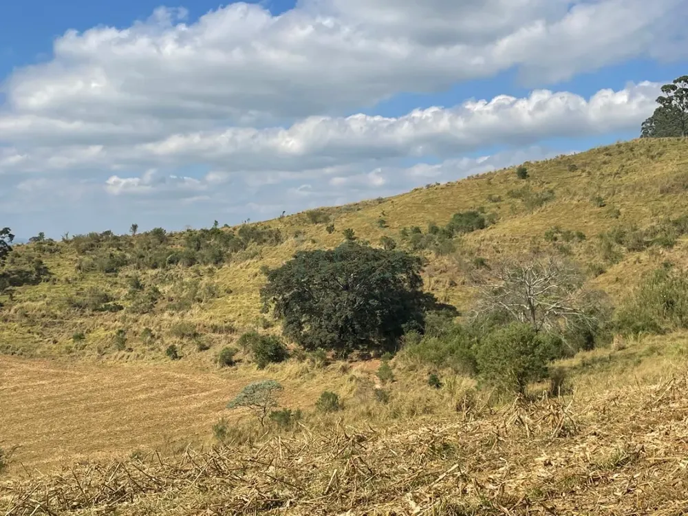 Fazenda, 174 hectares - Foto 8