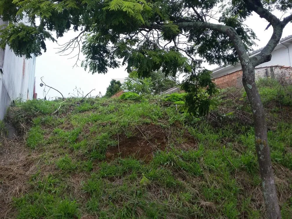 Terreno, 537 m² - Foto 3