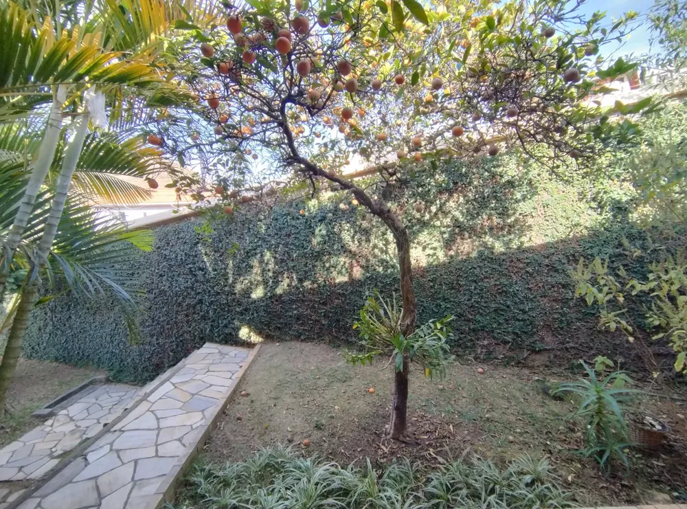 Casa, 3 quartos, 448 m² - Foto 3