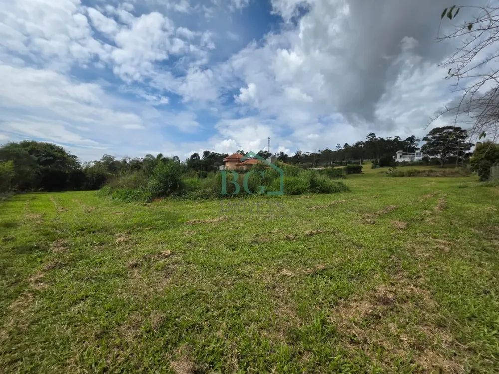 Terreno, 2437 m² - Foto 3
