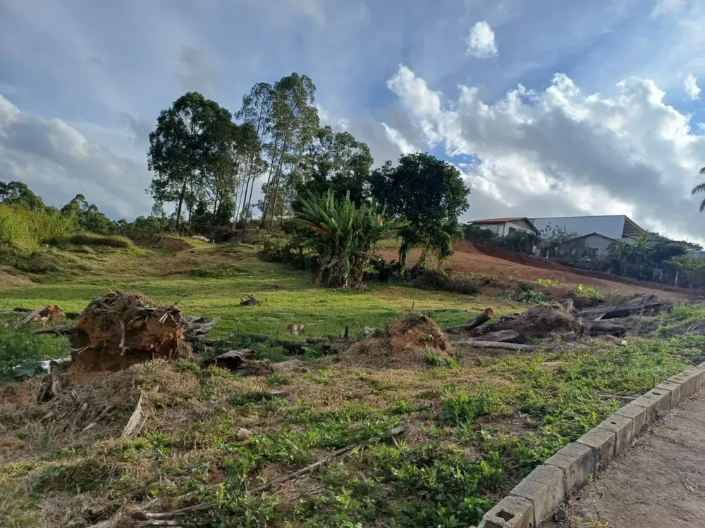 Terreno, 5650 m² - Foto 3