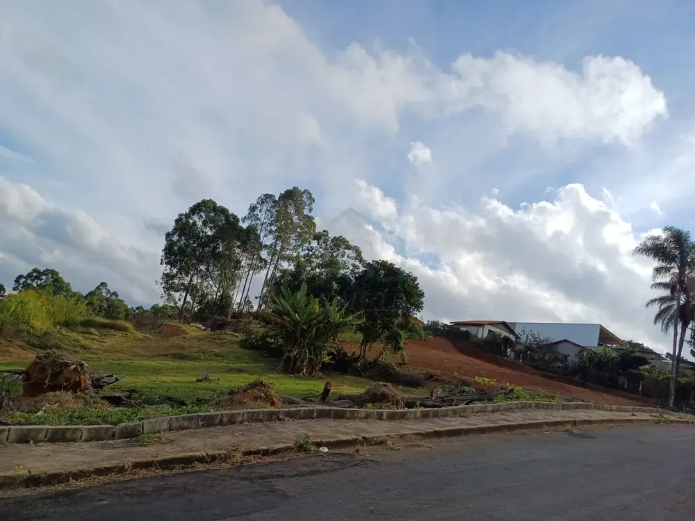 Terreno, 5650 m² - Foto 4