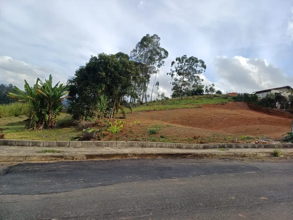 Terreno, 5650 m² - Foto 1