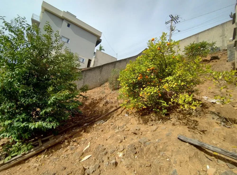 Terreno, 300 m² - Foto 5