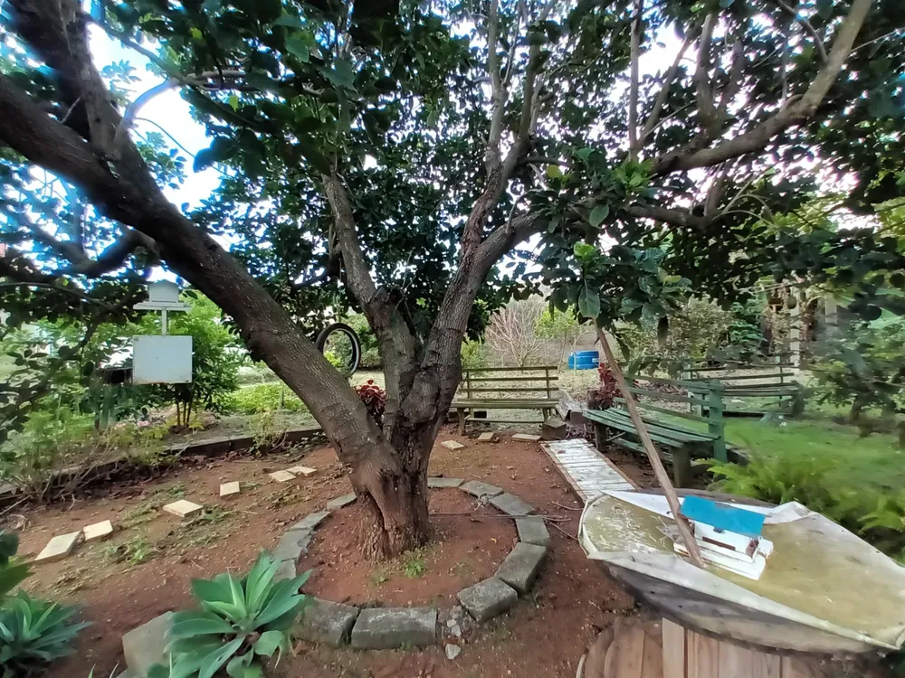 Terreno, 3446 m² - Foto 6