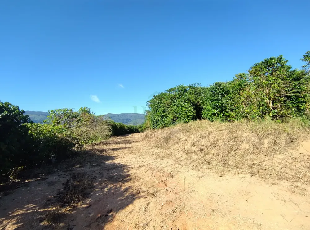 Fazenda, 428 hectares - Foto 5