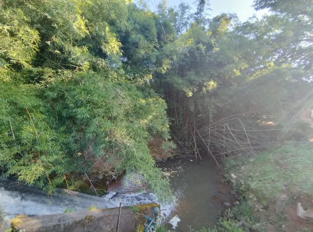 Fazenda, 353 hectares - Foto 2