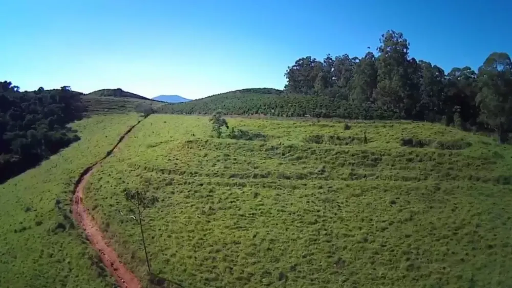 Fazenda, 428 hectares - Foto 6