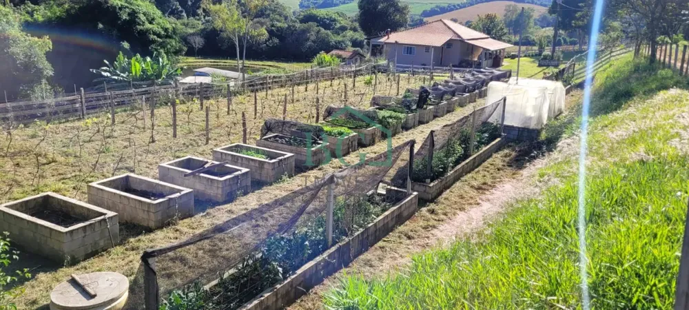 Sítio, 9 hectares - Foto 8