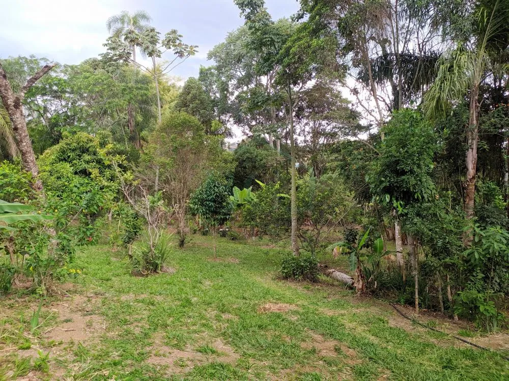 Casa, 3 quartos, 709 m² - Foto 7