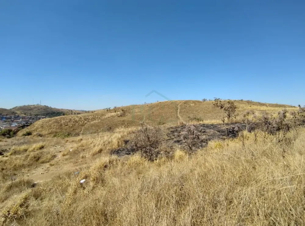 Terreno, 2 hectares - Foto 10