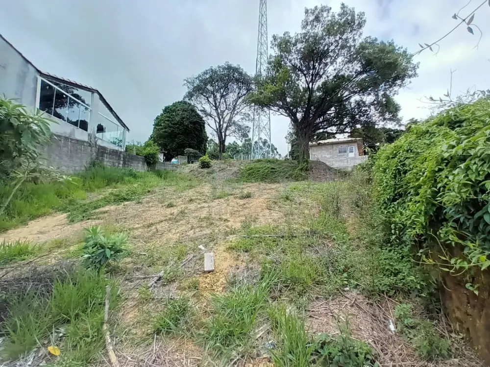 Terreno, 566 m² - Foto 5