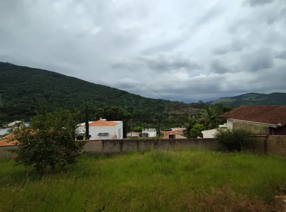 Casa, 3 quartos, 251 m² - Foto 8
