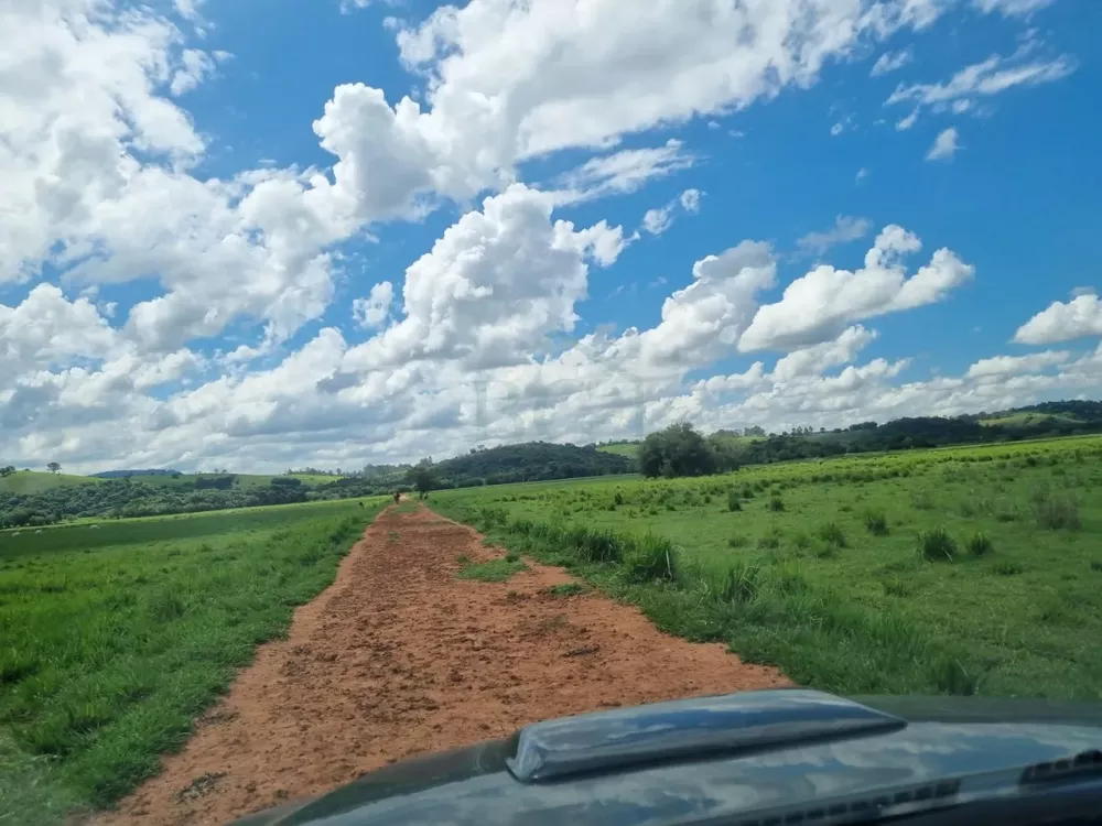 Fazenda à venda, 1720000m² - Foto 8