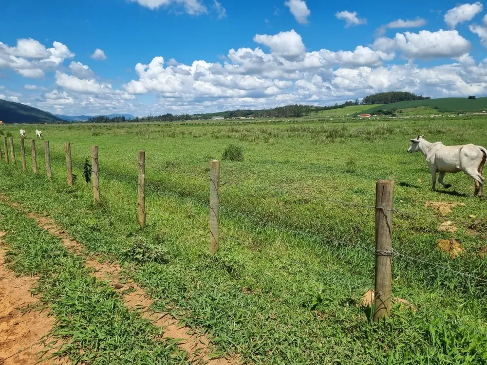 Fazenda à venda, 1720000m² - Foto 5
