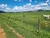 Fazenda-Sítio-Chácara, 172 hectares - Foto 5
