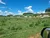 Fazenda-Sítio-Chácara, 172 hectares - Foto 1